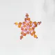 Star - Brooch Cassiopeia - 1